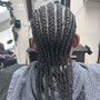 Scalp Feed In Braids