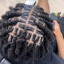 Loc Retwist