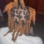 Tree Braids