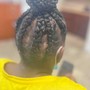 Feed-in Braids/ Stitch Braids