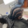 Feed-in Braids/ Stitch Braids