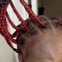 Jayda Wayda Braids