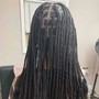 Crochet Locs Medium