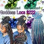 3day Special Butterfly Locs