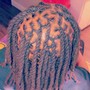 Dread Retwist Shoulder Length