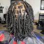 Comb Twist /Coils/ Starter Locs