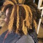 Root Touch Up