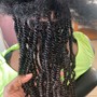 Medium Senegalese Twist med back