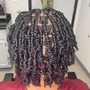 Starter Locs 2strand method