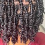 Starter Locs 2strand method