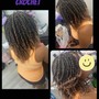 Yanky or small Crochet Braids