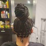 Havana Twists