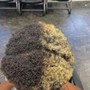 Deluxe WASH, Hot Oil, Retwist, and Style (Barrel Braids)