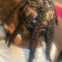 Medium Short Butterfly Locs