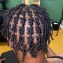 Starter locs