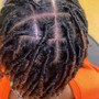 Starter locs