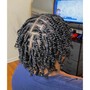 Starter Locs