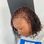 Micro Twists Consultation