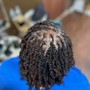 Take out Nubian or Spring twist, kinky twist, Senegalese twist