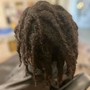 Starter Locs