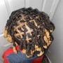 Starter Locs