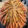 Root Touch Up