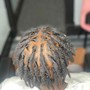 Root Touch Up