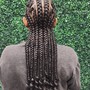 Tree Braids