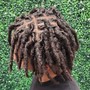 Dreadlocks Starter Comb Twist