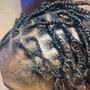 ADVANCED PALM ROLL LOC RETWIST & STYLES (MIDBACK - LOWER BACK)