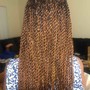 Senegalese Twist