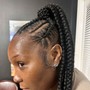 Slick Back Ponytail( No Bang)