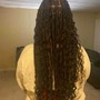 Box Braids/ Knotless/medium