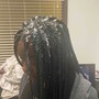 Tree Braids