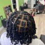 2 strand twist natural hair