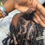 Starter Loc coils or Comb twist