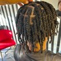 2 Strand Twist/ Plats