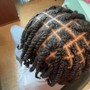 Mini Two-Strand twist w/blowout