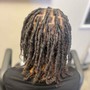 Loc Maintenance