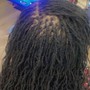 Sisterloc/Microloc retwist