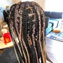 Senegalese twist