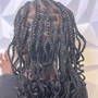 Kid's Braids (Natural Hair)