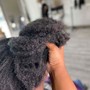 Kiddie wash/blow out (braid prep)