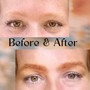 Ombré Brow | Powder Brow Touch-up (8 weeks post initial service)