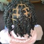 Two strand twist natural hair