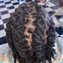 Tree Braids