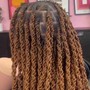 Senegalese Twist (Jumbo Size)