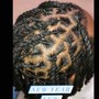 Dreadlocks  (BASIC RETWIST)