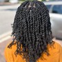 Mini Twists