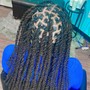 Dreadlocks start (coils)